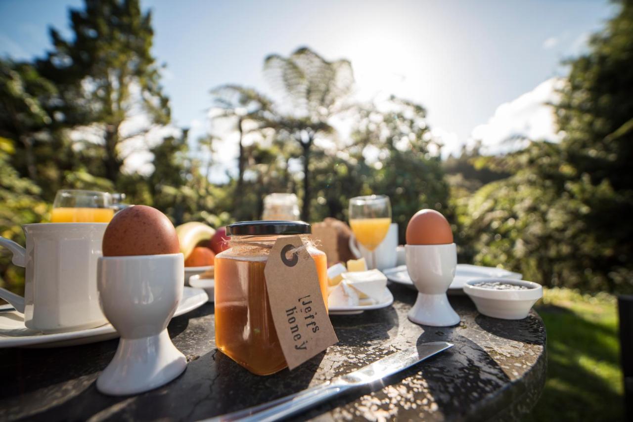 Wairua Lodge - Rainforest River Retreat Whitianga Buitenkant foto