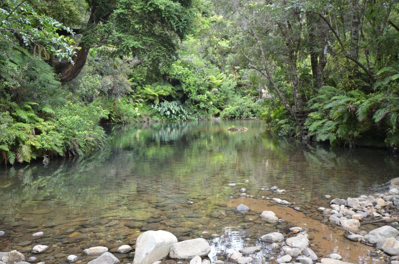 Wairua Lodge - Rainforest River Retreat Whitianga Buitenkant foto